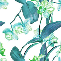 Orchid seamless pattern. Watercolor Illustration. Hand painted background