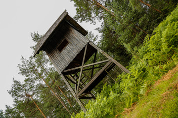 Small wooden cabin in the middle of a forest