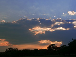 Gorgeous sunset colors in the skies with silhouettes of tree tops