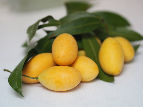 Marian plum, Anacardiaceae, Bouea macrophylla Griff maprang is yellow fruit on white background
