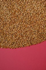 Buckwheat. Raw buckwheat groats close-up on a bright red background.Cereals. Healthy eating. Buckwheat porridge.top view, copy space.