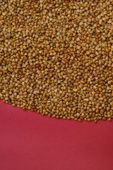 Buckwheat.  buckwheat groats close-up on a bright red background.Cereals. Healthy eating. Buckwheat porridge.top view, copy space.