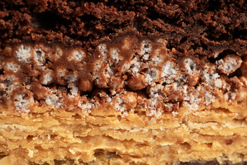 Close up photography piece of cake with cacao and chocolate.