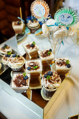 sweet cupcakes and cookies for children on birthday