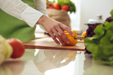 Unknown human hands cooking in kitchen. Woman is busy with vegetable salad. Healthy meal, and vegetarian food concept