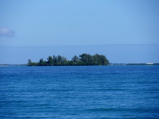 Small island covered with young grees surrounded by the blue waters of the Caribbean sea in Placencia, Belize.