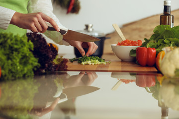 Unknown human hands cooking in kitchen. Woman slicing green onion. Healthy meal, and vegetarian food concept