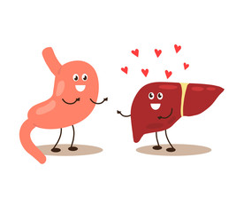 Liver stomach on a white background. Cartoon. Vector illustration.