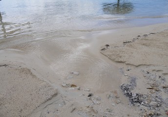 White sand beach with water from the sea rolling in at high tide.