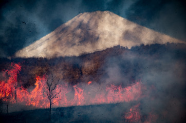 炎と火と富士山