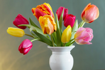 beautiful tulips in vase on green background