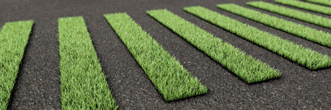 Gras als Zebrastreifen