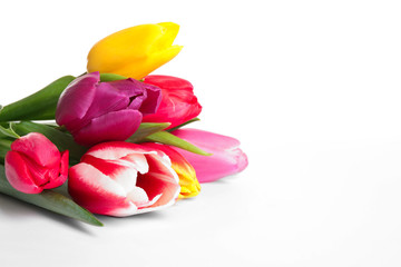 Beautiful bright spring tulips on white background, closeup