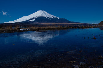 氷に映る富士山