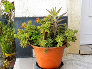 Beautiful place in the garden in the mediterranean style, corner with potted plants. 