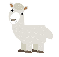 cartoon scene with american animal alpaca on white background illustration