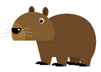 cartoon american scene with happy and funny capybara on white background - illustration