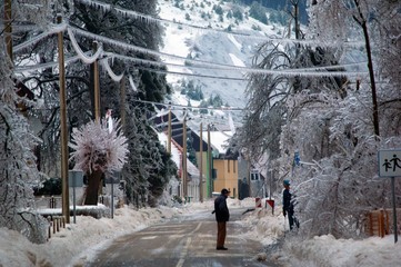 Fototapeta premium winter
