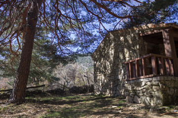 old house in the forest