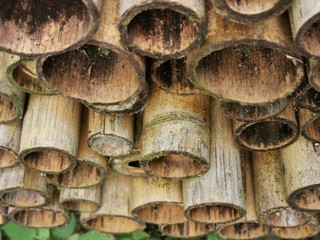 wood, texture, fence, wooden, tree, pattern, abstract, old, construction, wall, timber, metal, steel, natural, nature, bamboo, brown, material, backgrounds, branch, building, pile, architecture, textu