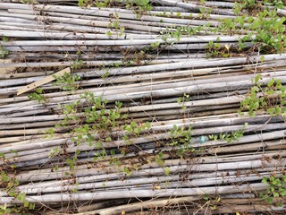 wood, texture, fence, wooden, tree, pattern, abstract, old, construction, wall, timber, metal, steel, natural, nature, bamboo, brown, material, backgrounds, branch, building, pile, architecture, textu
