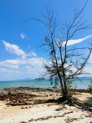 tree, beach, sea, sand, sky, nature, landscape, blue, water, island, ocean, summer, green, coast, travel, greece, pine, trees, lonely, desert, shore, tropical, sunny, view, lake