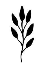 Vector silhouette of a branch with leaves. Element for design and decoration. Doodle