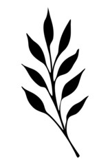 Vector silhouette of a branch with leaves. Element for design and decoration of cards, invitation.