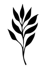 Vector silhouette of a branch with leaves. Botanical element for design and decoration of cards, invitation cards.