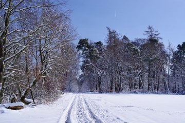 Winterlandschaft