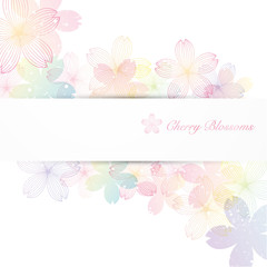 background illustration of cherry blossoms