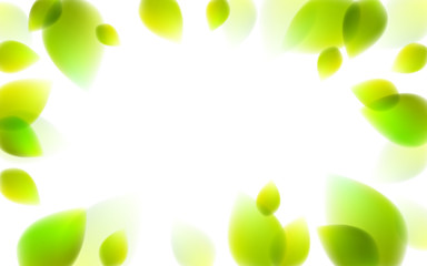Fresh green leaves summer or spring blurred defocused, realistic bright vector illustration with copy space for text.