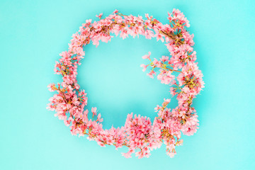Blossoms wreath over light turquoise background, top view, copy space.Spring floral background, pattern and wallpaper. Flat lay of pink blossom.Women's holiday card or wedding invitation