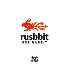 Rabbit data logo vector
