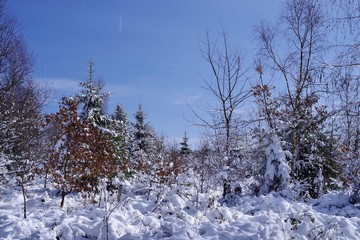 Winterlandschaft
