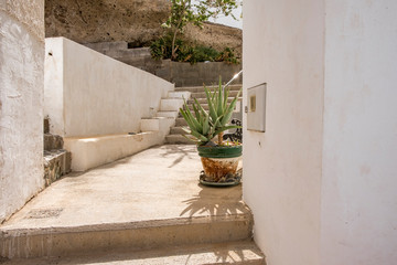 Succulent plants in terracotta flowerpots in the coastal village of El Puertito, Tenerife, Spain