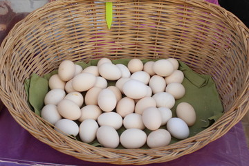 basket of eggs