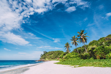 Tropical remote secluded sandy beach with coconut palm trees and blue sky with moving white clouds above