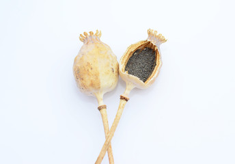 Freshly Dried Long Stem Poppy Pods Dried papaver with pile of poppy seeds isolated on white