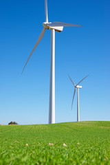Fototapeta premium Windmills and green meadow