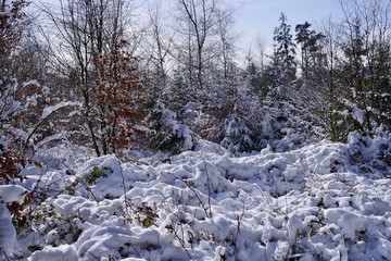 Winterlandschaft
