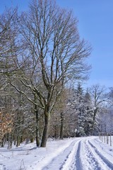 Obraz premium Winterlandschaft