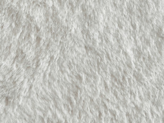 Fototapeta na wymiar Long white wool of an alpine goat as texture and background