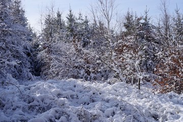 Winterlndschaft