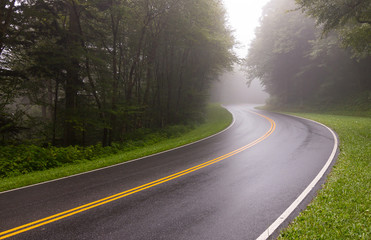 Curvy road on a misty forest