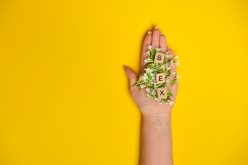 Woman hand holding three wooden blocks - letters SEX on them, flowers underneath them, blue background, space for more text images