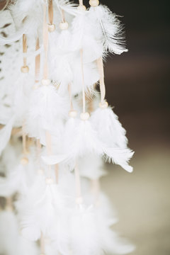 26 Best Plume Blanche Images Stock Photos Vectors Adobe Stock 26 Best Plume Blanche Images Stock Photos Vectors Adobe Stock