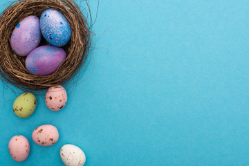 Top view of nest with purple chicken and quail eggs on blue background