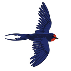 Swallow in flight isolated on a white background. Vector graphics.