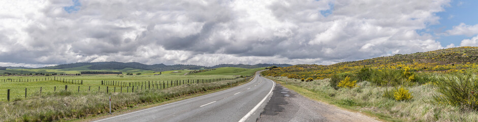 Fototapeta na wymiar highway 5 bends in lush green hilly countryside with broom shrubs, near Iwitahi, Bay of Plenty, New Zealand